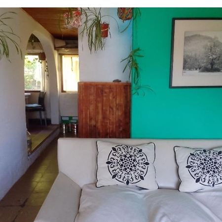 Casita En La Montana Daire San Martín de los Andes Dış mekan fotoğraf