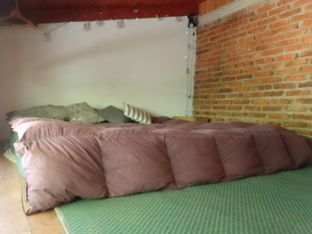 Casita En La Montana Daire San Martín de los Andes Dış mekan fotoğraf